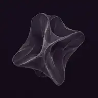 Membrane Form sample image