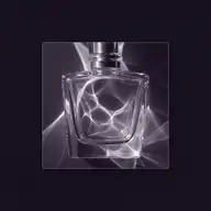 Caustics sample image
