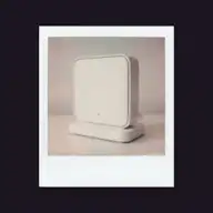 Polaroid sample image